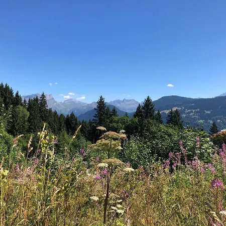 Apartment Full Nature, 4 People, Saint-gervais, Chamonix *